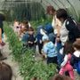 I piccoli dell'asilo Dell'Acqua di Casciago protagonisti all'azienda agricola Sciareda di Cittiglio I piccoli dell'asilo Dell'Acqua di Casciago protagonisti all'azienda agricola Sciareda di Cittiglio