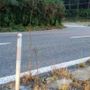 Un tratto della superstrada 629 Un tratto della superstrada 629