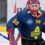 Mastini, per la porta ecco il diciottenne Tomasello. Ha vinto il campionato Under 19 con l'Asiago Mastini, per la porta ecco il diciottenne Tomasello. Ha vinto il campionato Under 19 con l'Asiago