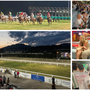 Uno scenario da cartolina per la prima serata della riapertura all'ippodromo di Varese: tra il pubblico il sindaco Galimberti e l'assessore Malerba