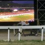 Emozioni e magia all'ippodromo di Varese Emozioni e magia all'ippodromo di Varese