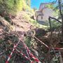 L'albero caduto sulla mulattiera di Monteviasco (foto tratta da Luinonotizie.it)