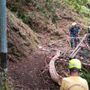 La mulattiera riaperta a Monteviasco grazie al grande lavoro della Protezione Civile (foto tratta da Luinonotizie.it) La mulattiera riaperta a Monteviasco grazie al grande lavoro della Protezione Civile (foto tratta da Luinonotizie.it)