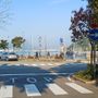 Laveno, venti alberi pericolosi da abbattere: «La sicurezza viene prima di tutto» Laveno, venti alberi pericolosi da abbattere: «La sicurezza viene prima di tutto»