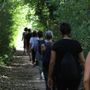 Al via il Festival del Benessere in Natura 2026 nel Parco Campo dei Fiori Al via il Festival del Benessere in Natura 2026 nel Parco Campo dei Fiori