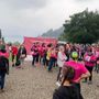 Una delle passate edizioni della Camminata Rosa di Laveno Una delle passate edizioni della Camminata Rosa di Laveno