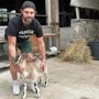 Lorenzo Piccinelli insieme al capretto Valentino al Brinzio: Terra Piccinelli verrà premiato a Golosaria come miglior agriturismo dell'anno Lorenzo Piccinelli insieme al capretto Valentino al Brinzio: Terra Piccinelli verrà premiato a Golosaria come miglior agriturismo dell'anno