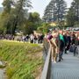 In centinaia per la prima passeggiata sulla nuova ciclopedonale del lago di Ghirla inaugurata oggi