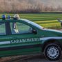 Bracconaggio ittico nel lago Maggiore a Ispra: denunciato un uomo, pescava con una fiocina