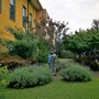 Fondazione Comi di Luino, una sottoscrizione a premi per migliorare la cura degli anziani: grandi premi e un obiettivo concreto