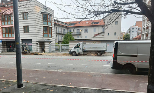 In via XXV Aprile a Gallarate tagliati alcuni esemplari di ciliegi selvatici In via XXV Aprile a Gallarate tagliati alcuni esemplari di ciliegi selvatici