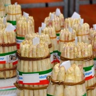 Fiera dell’Asparago di Cantello, Coldiretti: «Produttori agricoli protagonisti del made in Varese a chilometro zero»