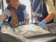 Sul camper erano nascoste cocaina, marijuana, hashish, eroina, ecstasy e LSD: il materiale è stato sequestrato Sul camper erano nascoste cocaina, marijuana, hashish, eroina, ecstasy e LSD: il materiale è stato sequestrato
