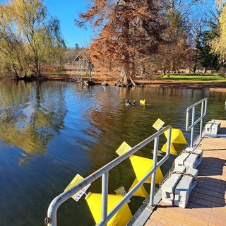 Per proteggere l'Isolino Virginia arrivano le boe