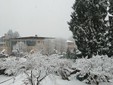 La situazione neve a Marchirolo (foto inviate in redazione dal nostro lettore Guido Odoni) La situazione neve a Marchirolo (foto inviate in redazione dal nostro lettore Guido Odoni)