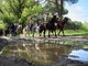 Partirà da Varese la tappa lombarda dell’Equiraduno dell’Anno Santo. Confagricoltura: «L'obiettivo è promuovere il turismo agrituristico»