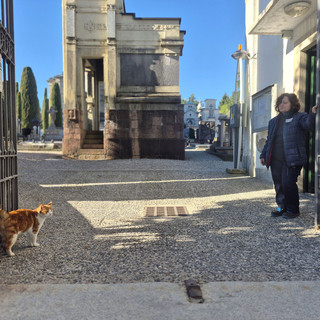 Diesel e Lucia al cancello del cimitero monumentale di Giubiano Diesel e Lucia al cancello del cimitero monumentale di Giubiano