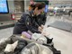 I controlli della Gdf di Varese a Malpensa