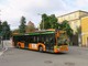 Autista del bus aggredito con un sampietrino, Autolinee Varesine: «Rabbia e amarezza»
