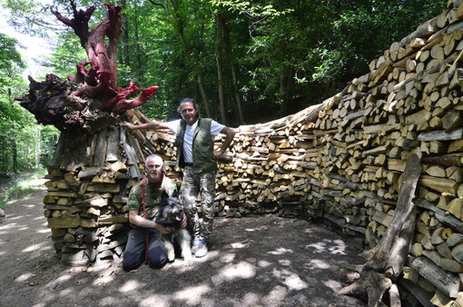 C'è un drago di 15 metri nei boschi di Boarezzo. L'ultima folle impresa dei &quot;maghi del legno&quot; della Valganna