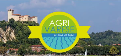 Agrivarese torna sul Lago Maggiore: ad Angera va in scena la festa dell'agricoltura Agrivarese torna sul Lago Maggiore: ad Angera va in scena la festa dell'agricoltura