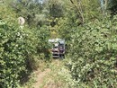 Un'immagine diffusa dal Comune di Turbigo Un'immagine diffusa dal Comune di Turbigo