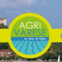 Agrivarese torna sul Lago Maggiore: ad Angera va in scena la festa dell'agricoltura Agrivarese torna sul Lago Maggiore: ad Angera va in scena la festa dell'agricoltura