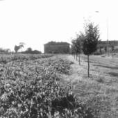 (foto da La Varese Nascosta) (foto da La Varese Nascosta)