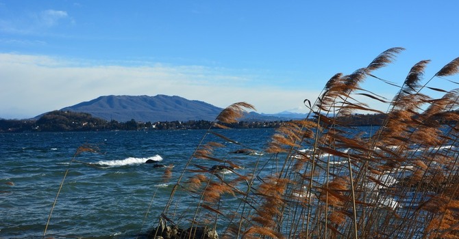 Il vento sul lago di Varese