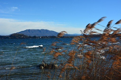 Il vento sul lago di Varese