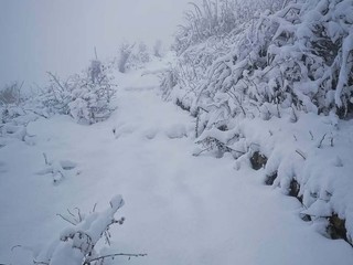 Le immagini pubblicate dalla Società Astronomica Schiaparelli