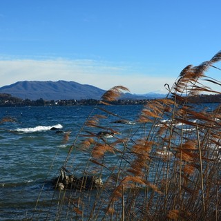 Il vento sul lago di Varese