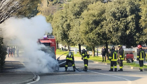 L'intervento dei vigili del fuoco in una foto pubblicata sul gruppo Facebook "Sei di Laveno se..."