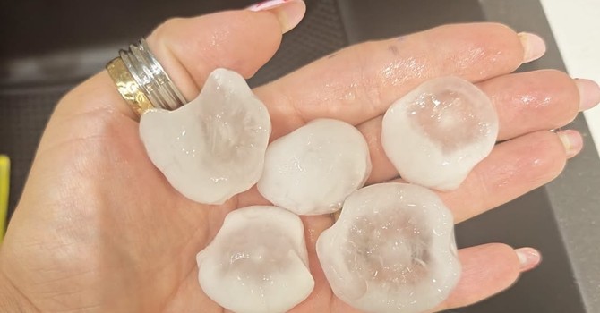 La grandine caduta questa mattina in Brianza (foto di Giusy Olivieri da NaturalMeteo) La grandine caduta questa mattina in Brianza (foto di Giusy Olivieri da NaturalMeteo)