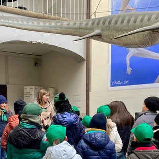 Una giornata alla scoperta dei fossili del Monte San Giorgio