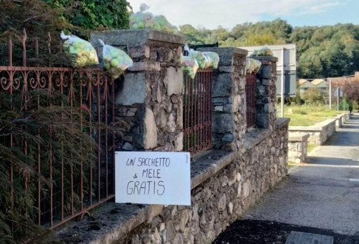 I sacchetti di mele gratis a Comacchio di Cuvio I sacchetti di mele gratis a Comacchio di Cuvio