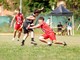 Gorillas, gran fermento tra giovani, Rock the Jungle, San Fermo e i playoff Gorillas, gran fermento tra giovani, Rock the Jungle, San Fermo e i playoff