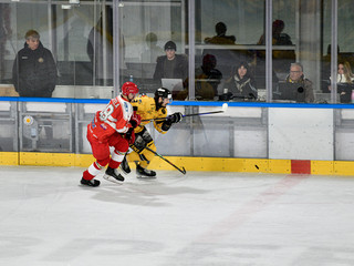 Schina va e va ancora/2