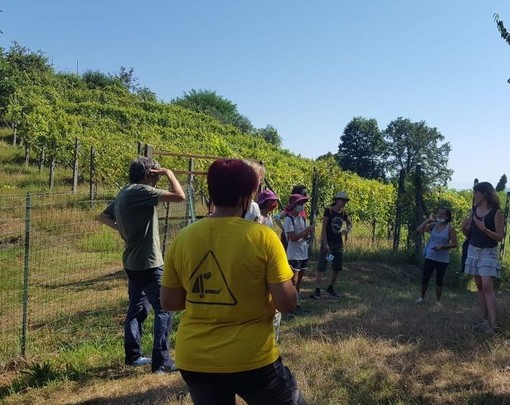 Archeologia, Enologia, Museo Diffuso, Teatro: Angera celebra le Giornate Europee del patrimonio mettendo in vetrina le sue eccellenze