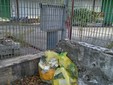 Rifiuti abbandonati ad Angera
