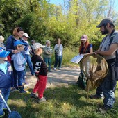 In Palude Bruschera ad Angera con gli esperti: BioBlitz e Giornata delle farfalle