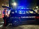 (foto tratta da Luinonotizie.it) (foto tratta da Luinonotizie.it)