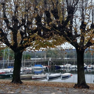 Ad Angera arriva il grande ciclismo con il Giro-E Enel