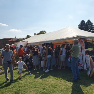Un'immagine della festa che si è tenuta al parco Lagozza di Arcisate