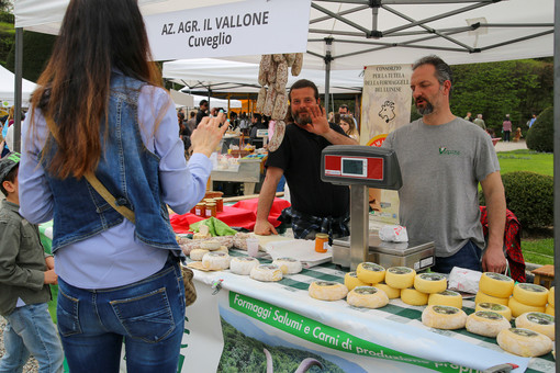 Agrivarese arriva ad Angera: candidature al via per la manifestazione dell'11 ottobre