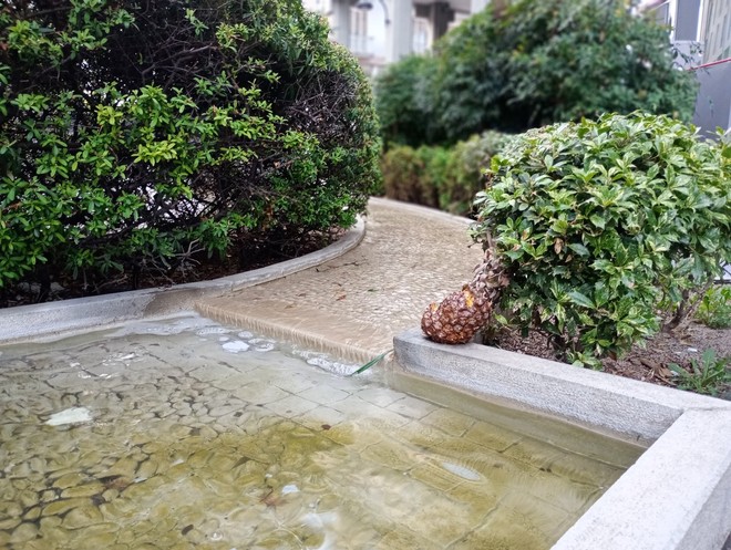 Una singolare "comparsa" la scorsa estate nel ruscello di via San Gregorio: un ananas