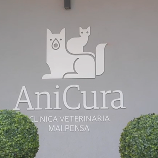 Target. Nella seconda puntata spazio alla clinica veterinaria AniCura di Malpensa
