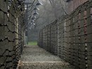 «Ministra Roccella, quelle ad Auschwitz non erano "gite". Spero voglia chiedere scusa alle mamme che non hanno rivisto i propri figli inceneriti»