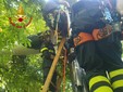 Le immagini dell'aliante incastrato tra gli alberi a Calcinate