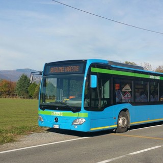 Autolinee Varesine e Castano: sull’app le notifiche in tempo reale per il proprio bus